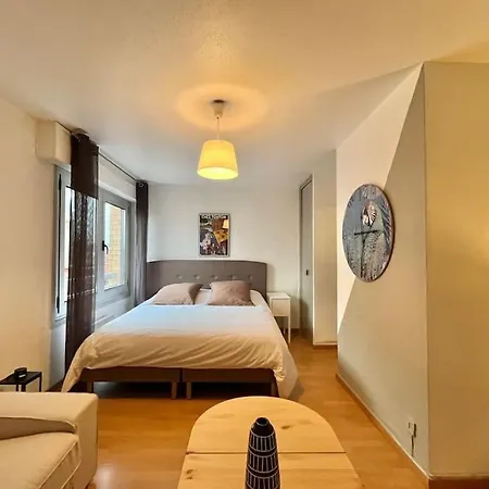 Appartement Grand En Hyper-centre Toulouse